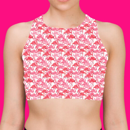 Flamingo on white